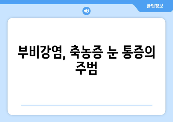 축농증 눈 통증, 왜 생길까요? 원인과 해결책 | 축농증, 눈 통증, 부비강염, 치료법