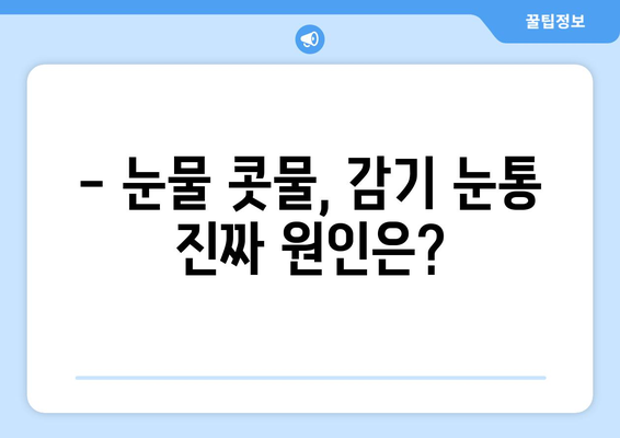 감기 눈통, 진짜 치료법은 따로 있다? | 의학적 오해 풀고 효과적인 완화 방법 알아보기
