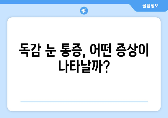 독감으로 인한 눈 통증, 놓치지 말아야 할 증상과 대처법 | 독감, 눈 통증, 증상, 치료, 관리