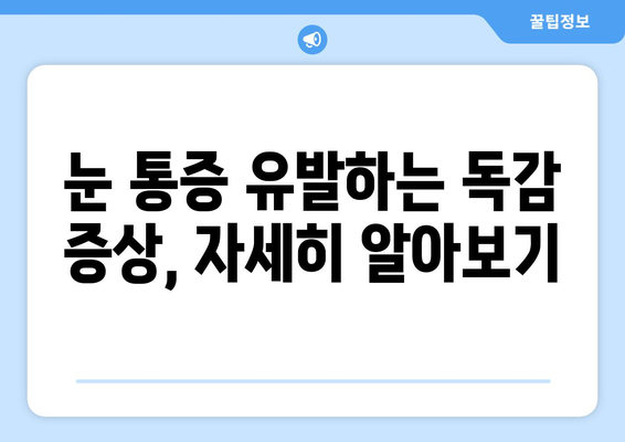 독감 눈 통증, 왜 생길까? | 증상과 예방법, 관리법 완벽 가이드