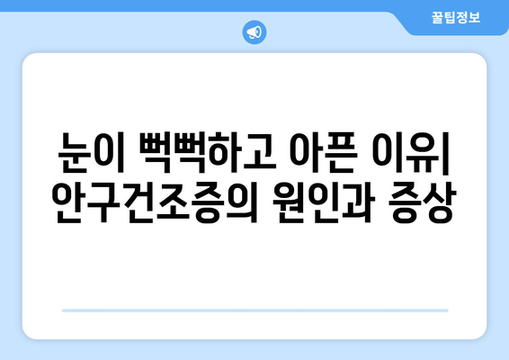 안구 건조증과 눈 통증| 문제의 근원을 파헤치고 해결책 찾기 | 원인, 증상, 치료, 예방