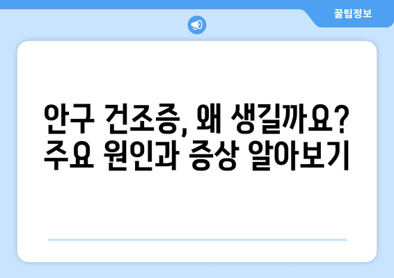 안구 건조증, 눈 통증의 원인은 이것일 수 있나요? | 눈 건조증 증상, 원인, 치료법