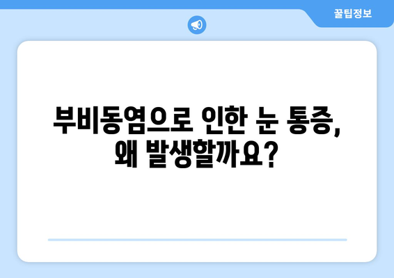 부비동염, 눈 통증의 원인| 숨겨진 연결고리를 밝히다 | 부비동염 증상, 눈 통증, 원인, 치료