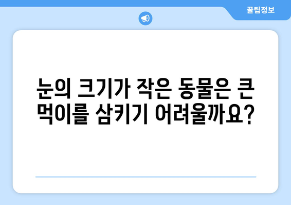 눈통과 삼키기 곤란의 숨겨진 연관성| 놀라운 진실 |  생존, 진화, 흥미로운 사실