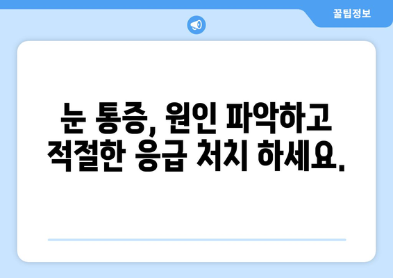 안구 건조증과 눈 통증| 응급 상황인지 확인하는 방법 | 안구 건조증 증상, 눈 통증 원인, 응급 처치