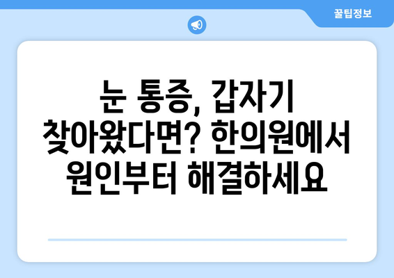 갑자기 생긴 눈 통증, 한의원에서 해결하세요 | 눈 통증 원인, 한방 치료, 추천 한의원