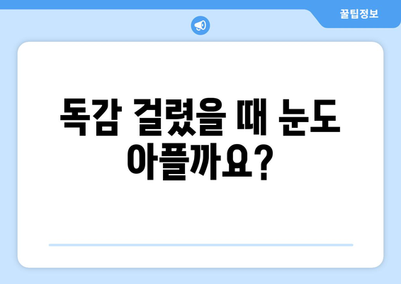 독감 눈 통증, 증상과 예방법 완벽 가이드 | 독감, 눈 증상, 눈 통증, 예방, 관리