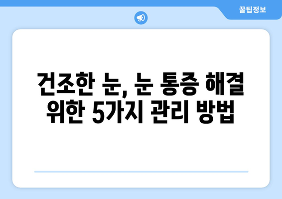 안구 건조증으로 인한 눈 통증의 원인과 관리 방법 | 건조한 눈, 눈 통증 해결, 안구 건강 관리