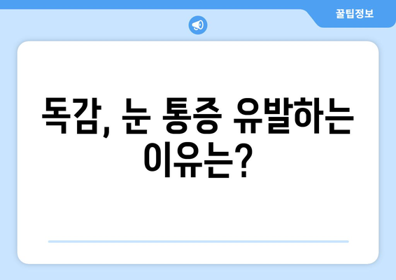 독감으로 인한 눈 통증, 놓치지 말아야 할 증상과 대처법 | 독감, 눈 통증, 증상, 치료, 관리