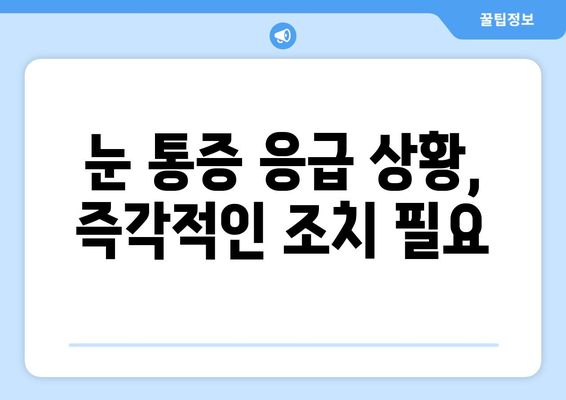 눈 통증, 언제 병원에 가야 할까요? | 눈 통증 증상, 원인, 병원 방문 시기, 응급 상황