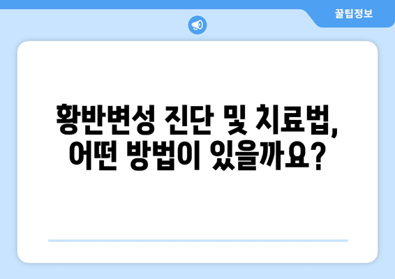 눈 통증과 황반변성, 이렇게 극복하세요! | 눈 건강, 치료법, 예방법