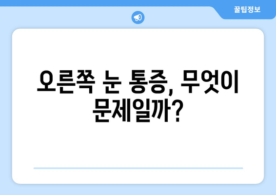 오른쪽 눈 통증, 놓치지 말아야 할 주의 사항 | 눈 통증 원인, 증상, 진료, 응급 상황