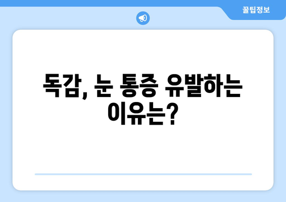 독감으로 인한 눈 통증| 원인, 증상, 그리고 예방법 | 눈 건강, 독감, 감기, 눈 통증 해결