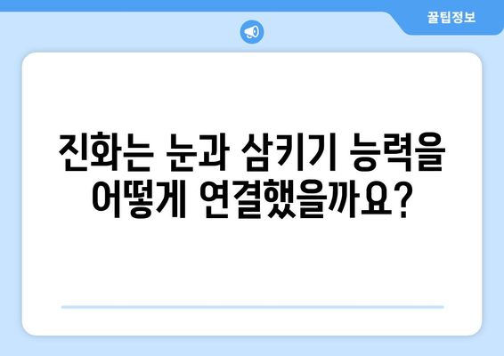 눈통과 삼키기 곤란의 숨겨진 연관성| 놀라운 진실 |  생존, 진화, 흥미로운 사실