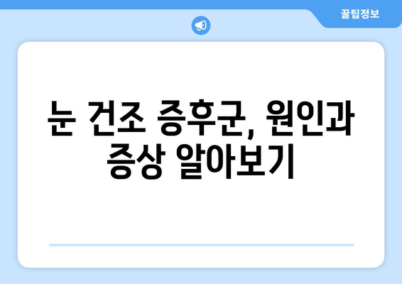 눈 통증, 안구 건조 증후군일까요? 원인과 관리법 총정리 | 눈 건조, 눈 통증, 안구 건조증, 관리법, 증상