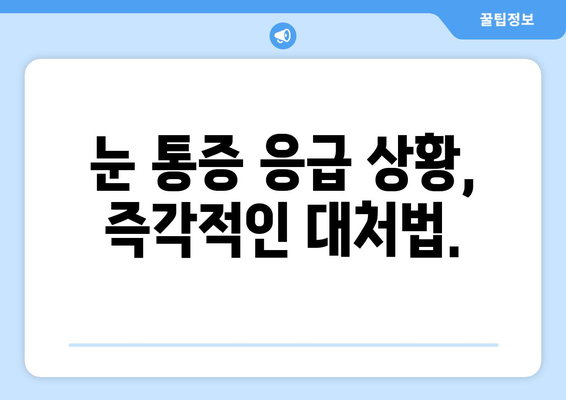 오른쪽 눈 통증, 놓치지 말아야 할 주의 사항 | 눈 통증 원인, 증상, 진료, 응급 상황