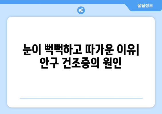 안구 건조증으로 인한 눈 통증, 왜 생기고 어떻게 관리해야 할까요? | 눈 건조증, 눈 통증, 관리법, 원인, 증상