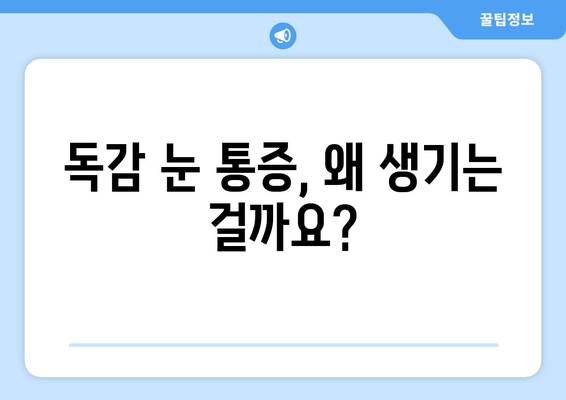 독감으로 인한 눈 통증| 증상, 원인, 예방법 | 독감 눈 통증, 눈 증상, 독감 합병증, 눈 건강 관리