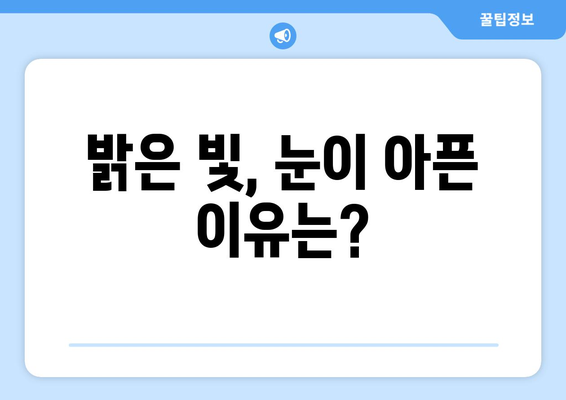 밝은 빛에 눈이 아픈 이유? 눈 통증의 원인과 해결책 | 눈부심, 눈 피로, 시력 저하