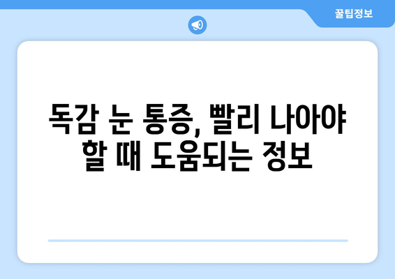 독감 눈 통증, 왜 생길까? | 증상과 예방법, 관리법 완벽 가이드