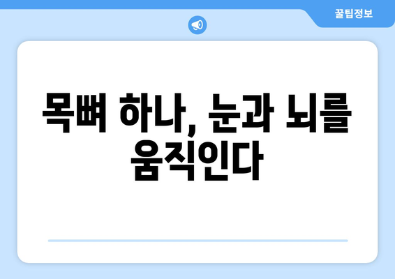 경추 1번 통증, 눈 통증과의 숨겨진 연결고리 | 두통, 어지럼증, 시력 저하와의 관계