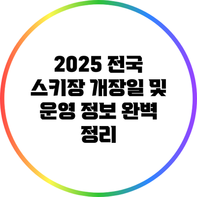 2025 전국 스키장 개장일 및 운영 정보 완벽 정리