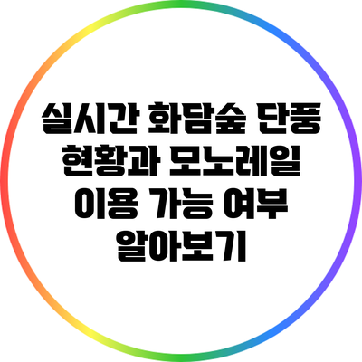 실시간 화담숲 단풍 현황과 모노레일 이용 가능 여부 알아보기