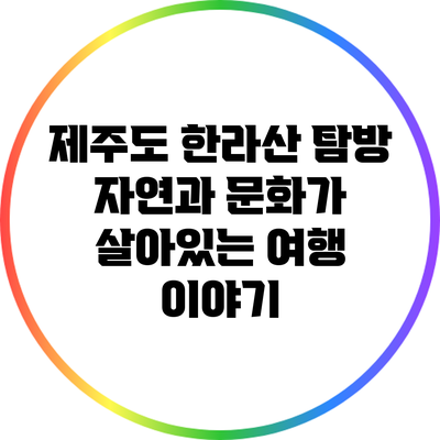 제주도 한라산 탐방: 자연과 문화가 살아있는 여행 이야기