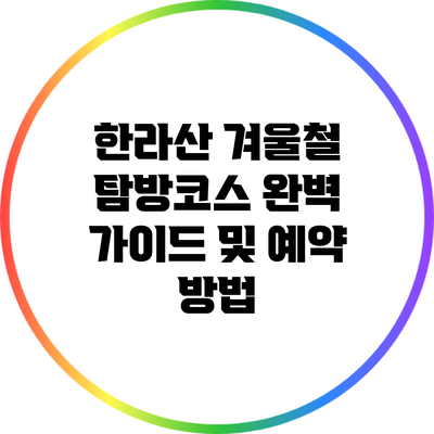 한라산 겨울철 탐방코스 완벽 가이드 및 예약 방법