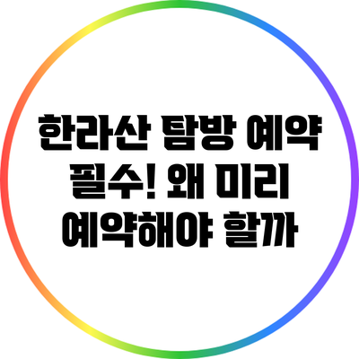 한라산 탐방 예약 필수! 왜 미리 예약해야 할까?