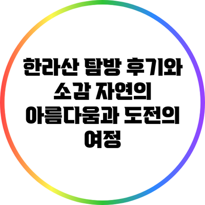 한라산 탐방 후기와 소감: 자연의 아름다움과 도전의 여정