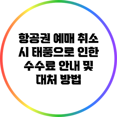 항공권 예매 취소 시 태풍으로 인한 수수료 안내 및 대처 방법