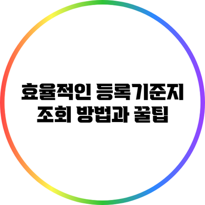 효율적인 등록기준지 조회 방법과 꿀팁