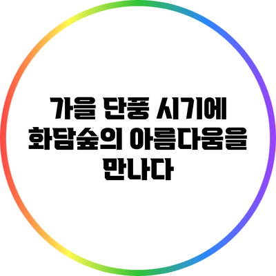 가을 단풍 시기에 화담숲의 아름다움을 만나다