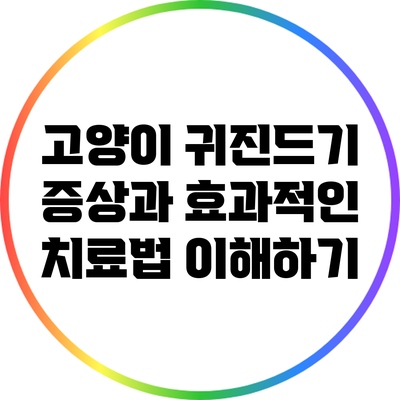 고양이 귀진드기 증상과 효과적인 치료법 이해하기