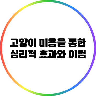 고양이 미용을 통한 심리적 효과와 이점