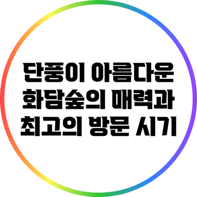 단풍이 아름다운 화담숲의 매력과 최고의 방문 시기