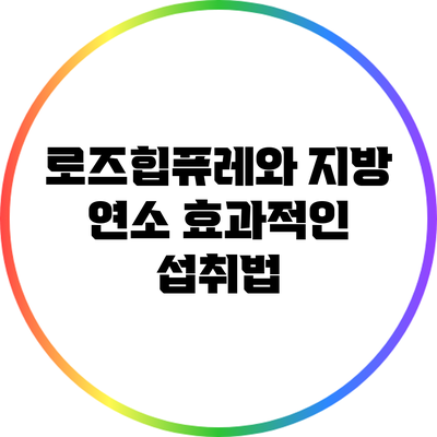 로즈힙퓨레와 지방 연소: 효과적인 섭취법