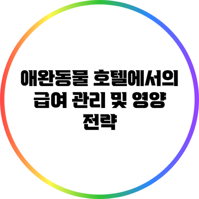 애완동물 호텔에서의 급여 관리 및 영양 전략