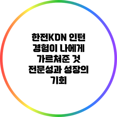 한전KDN 인턴 경험이 나에게 가르쳐준 것: 전문성과 성장의 기회