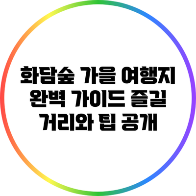 화담숲 가을 여행지 완벽 가이드: 즐길 거리와 팁 공개