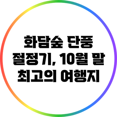 화담숲 단풍 절정기, 10월 말 최고의 여행지