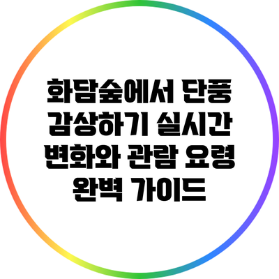 화담숲에서 단풍 감상하기: 실시간 변화와 관람 요령 완벽 가이드