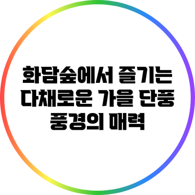 화담숲에서 즐기는 다채로운 가을 단풍 풍경의 매력