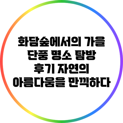 화담숲에서의 가을 단풍 명소 탐방 후기: 자연의 아름다움을 만끽하다