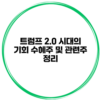 트럼프 2.0 시대의 기회 수혜주 및 관련주 정리