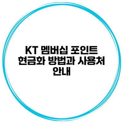 KT 멤버십 포인트 현금화 방법과 사용처 안내