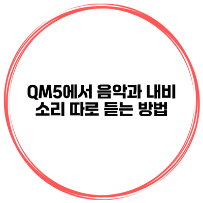 QM5에서 음악과 내비 소리 따로 듣는 방법