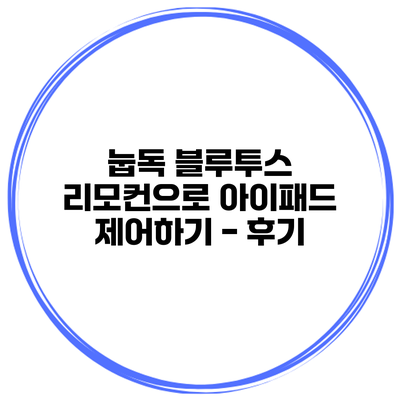 눕독 블루투스 리모컨으로 아이패드 제어하기 - 후기